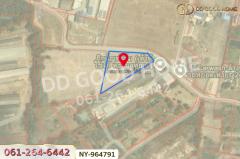 NY-964791 ที่ดินบ้านบึง 4 ไร่ ชลบุรี ใกล้ภิญโญฟาร์ม (เต้าหู้ไข่ไก่ตระกูลหยาง)-202509271611261758964286717.jpg