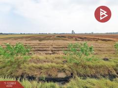 ขายที่ดิน เนื้อที่ 12 ไร่ 1 งาน 68.5 ตร.วา สามชุก สุพรรณบุรี