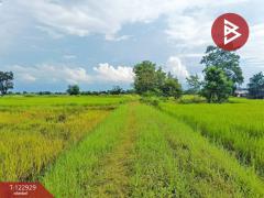 ขายที่ดิน เนื้อที่ 11 ไร่ 3 งาน 20 ตร.วา ยางตลาด กาฬสินธุ์