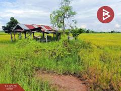 ขายที่ดิน เนื้อที่ 11 ไร่ 3 งาน 20 ตร.วา ยางตลาด กาฬสินธุ์-202509271638121758965892328.jpg