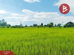 ขายที่ดิน เนื้อที่ 11 ไร่ 3 งาน 20 ตร.วา ยางตลาด กาฬสินธุ์-202509271638141758965894990.jpg