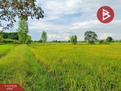 ขายที่ดิน เนื้อที่ 11 ไร่ 3 งาน 20 ตร.วา ยางตลาด กาฬสินธุ์-202509271638151758965895525.jpg