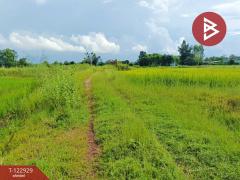 ขายที่ดิน เนื้อที่ 11 ไร่ 3 งาน 20 ตร.วา ยางตลาด กาฬสินธุ์-202509271638161758965896055.jpg