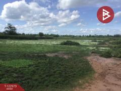 ขายที่ดิน เนื้อที่ 6 ไร่ 2 งาน 95 ตารางวา อ.ด่านขุนทด นครราชสีมา-202509271658121758967092831.jpg