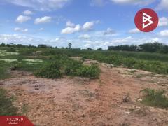 ขายที่ดิน เนื้อที่ 6 ไร่ 2 งาน 95 ตารางวา อ.ด่านขุนทด นครราชสีมา-202509271658131758967093363.jpg