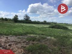 ขายที่ดิน เนื้อที่ 6 ไร่ 2 งาน 95 ตารางวา อ.ด่านขุนทด นครราชสีมา-202509271658131758967093885.jpg