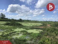 ขายที่ดิน เนื้อที่ 6 ไร่ 2 งาน 95 ตารางวา อ.ด่านขุนทด นครราชสีมา-202509271658141758967094407.jpg