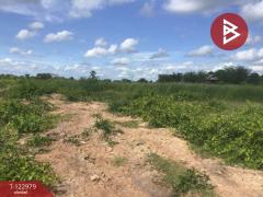 ขายที่ดิน เนื้อที่ 6 ไร่ 2 งาน 95 ตารางวา อ.ด่านขุนทด นครราชสีมา-202509271658151758967095452.jpg