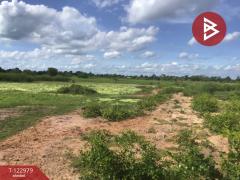 ขายที่ดิน เนื้อที่ 6 ไร่ 2 งาน 95 ตารางวา อ.ด่านขุนทด นครราชสีมา-202509271658161758967096487.jpg