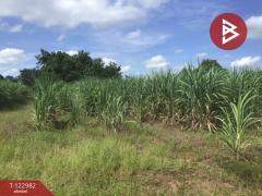 ขายที่ดิน เนื้อที่ 4 ไร่ 2 งาน 70 ตารางวา ต.หนองบัวตะเกียด นครราชสีมา