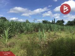 ขายที่ดิน เนื้อที่ 4 ไร่ 2 งาน 70 ตารางวา ต.หนองบัวตะเกียด นครราชสีมา-202509271714051758968045638.jpg