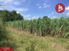 ขายที่ดิน เนื้อที่ 4 ไร่ 2 งาน 70 ตารางวา ต.หนองบัวตะเกียด นครราชสีมา-202509271714061758968046333.jpg