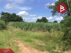 ขายที่ดิน เนื้อที่ 4 ไร่ 2 งาน 70 ตารางวา ต.หนองบัวตะเกียด นครราชสีมา-202509271714061758968046881.jpg