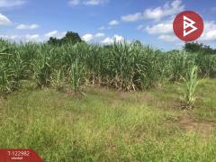 ขายที่ดิน เนื้อที่ 4 ไร่ 2 งาน 70 ตารางวา ต.หนองบัวตะเกียด นครราชสีมา-202509271714071758968047414.jpg