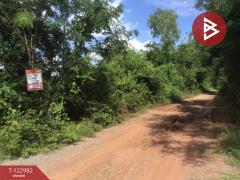 ขายที่ดิน เนื้อที่ 4 ไร่ 2 งาน 70 ตารางวา ต.หนองบัวตะเกียด นครราชสีมา-202509271714081758968048410.jpg