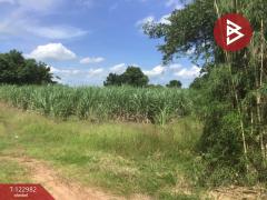 ขายที่ดิน เนื้อที่ 4 ไร่ 2 งาน 70 ตารางวา ต.หนองบัวตะเกียด นครราชสีมา-202509271714081758968048943.jpg