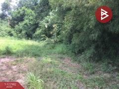 ขายที่ดิน เนื้อที่ 4 ไร่ 2 งาน 70 ตารางวา ต.หนองบัวตะเกียด นครราชสีมา-202509271714091758968049664.jpg