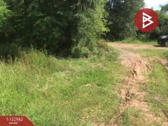 ขายที่ดิน เนื้อที่ 4 ไร่ 2 งาน 70 ตารางวา ต.หนองบัวตะเกียด นครราชสีมา-202509271714101758968050744.jpg