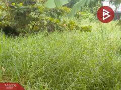 ขายที่ดิน เนื้อที่ 1 งาน ประเวศ กรุงเทพมหานคร-202509271717151758968235981.jpg