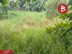 ขายที่ดิน เนื้อที่ 1 งาน ประเวศ กรุงเทพมหานคร-202509271717171758968237062.jpg