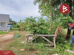 ขายที่ดิน เนื้อที่ 1 ไร่ 74 ตร.วา ปากนคร นครศรีธรรมราช-202509280946051759027565700.jpg