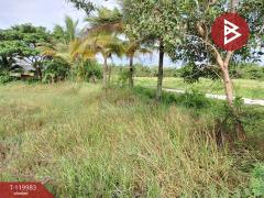 ขายที่ดิน เนื้อที่ 1 ไร่ 74 ตร.วา ปากนคร นครศรีธรรมราช-202509280946061759027566759.jpg