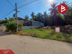 ขายที่ดิน เนื้อที่ 80.3 ตร.วา แม่กลอง สมุทรสงคราม-202509281040471759030847657.jpg