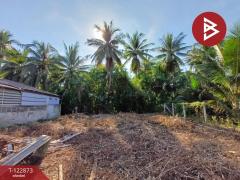 ขายที่ดิน เนื้อที่ 80.3 ตร.วา แม่กลอง สมุทรสงคราม-202509281040511759030851360.jpg