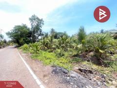 ขายที่ดินพร้อมสวนมะพร้าวน้ำหอม เนื้อที่ 4 ไร่ 3 งาน 66.9 ตร.วา อัมพวา สมุทรสงคราม-202509281107031759032423409.jpg