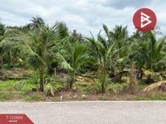ขายที่ดินพร้อมสวนมะพร้าวน้ำหอม เนื้อที่ 4 ไร่ 3 งาน 66.9 ตร.วา อัมพวา สมุทรสงคราม-202509281107031759032423946.jpg