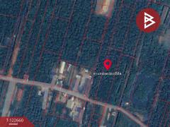 ขายที่ดินพร้อมสวนมะพร้าวน้ำหอม เนื้อที่ 4 ไร่ 3 งาน 66.9 ตร.วา อัมพวา สมุทรสงคราม-202509281107041759032424729.jpg