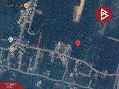 ขายที่ดินพร้อมสวนมะพร้าวน้ำหอม เนื้อที่ 4 ไร่ 3 งาน 66.9 ตร.วา อัมพวา สมุทรสงคราม-202509281107051759032425269.jpg