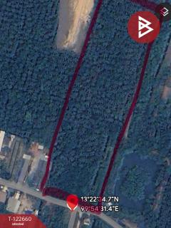 ขายที่ดินพร้อมสวนมะพร้าวน้ำหอม เนื้อที่ 4 ไร่ 3 งาน 66.9 ตร.วา อัมพวา สมุทรสงคราม-202509281107051759032425813.jpg