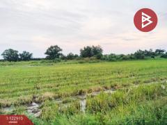 ขายทีดิน เนื้อที่ 1 งาน องครักษ์ นครนายก