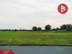 ขายทีดิน เนื้อที่ 1 งาน องครักษ์ นครนายก-202509281125391759033539242.jpg