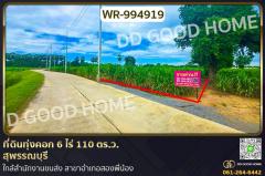 WR-994919 ที่ดินทุ่งคอก 6 ไร่ 110 ตร.ว. สุพรรณบุรี ใกล้สำนักงานขนส่ง สาขาอำเภอสองพี่น้อง