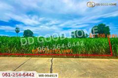 WR-994919 ที่ดินทุ่งคอก 6 ไร่ 110 ตร.ว. สุพรรณบุรี ใกล้สำนักงานขนส่ง สาขาอำเภอสองพี่น้อง-202509281156511759035411711.jpg