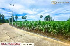 WR-994919 ที่ดินทุ่งคอก 6 ไร่ 110 ตร.ว. สุพรรณบุรี ใกล้สำนักงานขนส่ง สาขาอำเภอสองพี่น้อง-202509281156521759035412266.jpg