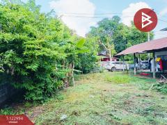 ขายบ้านเดี่ยว เนื้อที่ 132 ตารางวา ยางตลาด กาฬสินธุ์-202509281245161759038316982.jpg