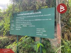 ขายที่ดินสวย เนื้อที่ 51 ตารางวา หมู่บ้านดารารัศมี พุทธมณฑลสาย 4 นครปฐม-202509281251391759038699728.jpg