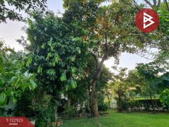 ขายบ้านเดี่ยว หมู่บ้านเดอะ กรีนเนอรี่วิลล่า แม่โจ้ (The GreeneryVilla Maejo) เชียงใหม่-202509281354241759042464226.jpg