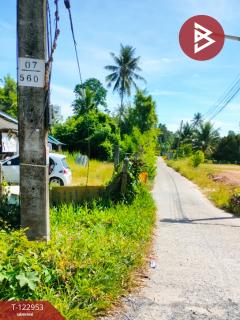 ขายที่ดินพร้อมสิ่งปลูกสร้าง เนื้อที่ 2 ไร่ 43.8 ตร.วา นาทราย นครศรีธรรมราช-202509281447551759045675844.jpg