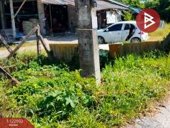 ขายที่ดินพร้อมสิ่งปลูกสร้าง เนื้อที่ 2 ไร่ 43.8 ตร.วา นาทราย นครศรีธรรมราช-202509281447561759045676369.jpg