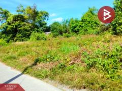 ขายที่ดินพร้อมสิ่งปลูกสร้าง เนื้อที่ 2 ไร่ 43.8 ตร.วา นาทราย นครศรีธรรมราช-202509281447571759045677438.jpg