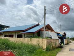 ขายบ้านเดี่ยวชั้นเดียว เนื้อที่ 1 งาน บึงพระ พิษณุโลก-202509281455351759046135449.jpg