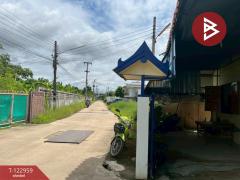 ขายบ้านเดี่ยวชั้นเดียว เนื้อที่ 1 งาน บึงพระ พิษณุโลก-202509281455351759046135967.jpg