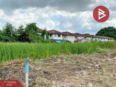 ขายที่ดิน เนื้อที่ 99 ตร.วา ลาดกระบัง กรุงเทพมหานคร-202509281521281759047688386.jpg