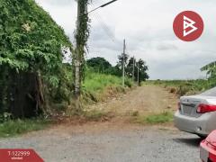 ขายที่ดิน เนื้อที่ 99 ตร.วา ลาดกระบัง กรุงเทพมหานคร-202509281521291759047689966.jpg