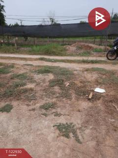 ขายที่ดิน เนื้อที่ 9 ไร่ 3 งาน 91.6 ตารางวา ไทรน้อย นนทบุรี-202509281559221759049962746.jpg