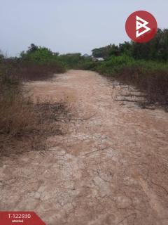 ขายที่ดิน เนื้อที่ 9 ไร่ 3 งาน 91.6 ตารางวา ไทรน้อย นนทบุรี-202509281559231759049963260.jpg